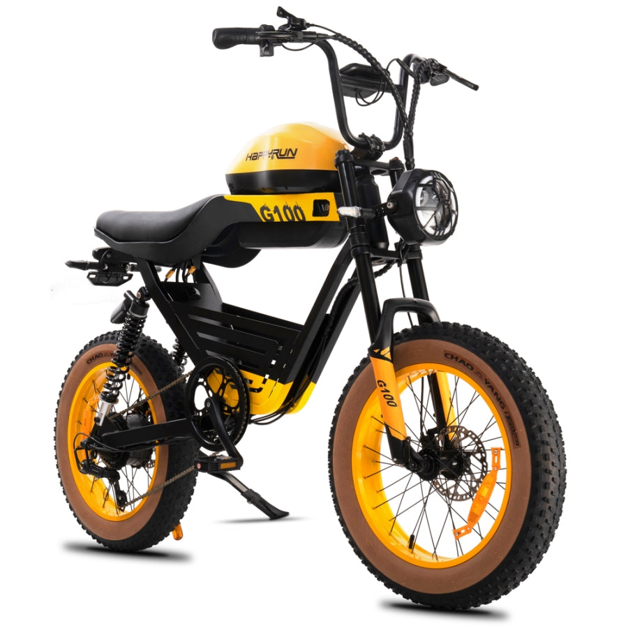 1000 Watt Electric Bikes